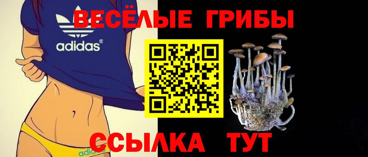 Псилоцибиновые грибы Cubensis  Вход с VPN  Обь 